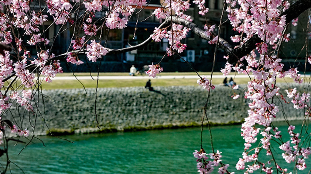 You are currently viewing 妳 (五)