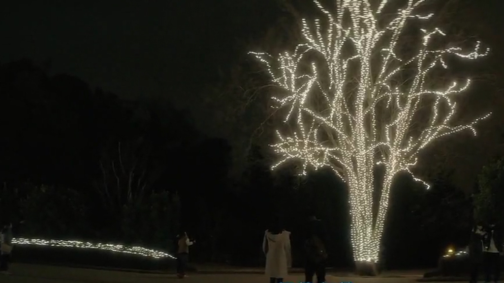 You are currently viewing 妳 (七)